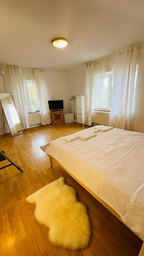 Biolocalia House Dobrogea Apartman Balotesti Kültér fotó