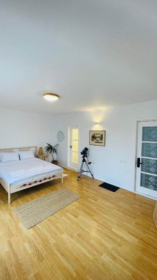 Biolocalia House Dobrogea Apartman Balotesti Kültér fotó